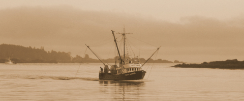 Ucluelet boat tours