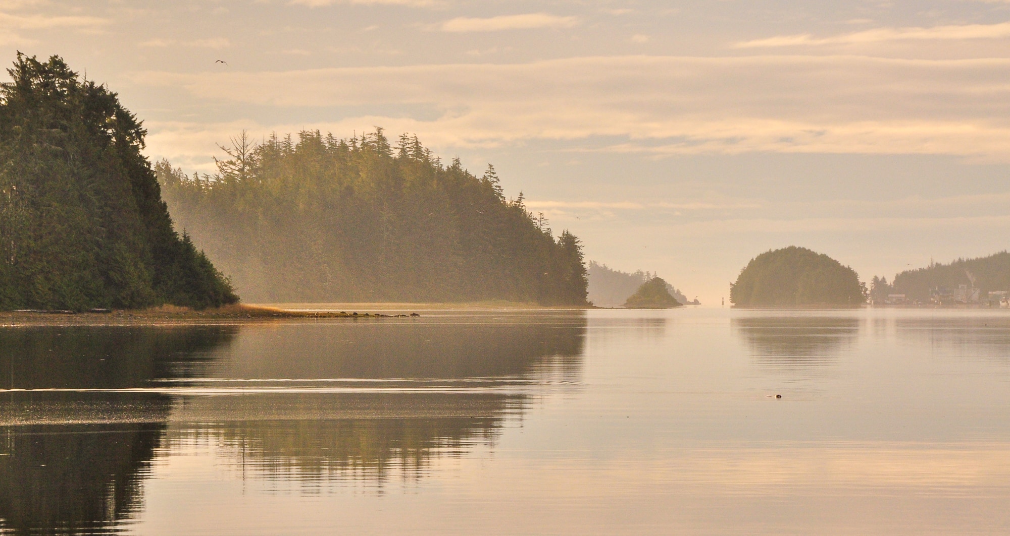 Boat tours Vancouver Island